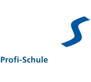 Profi-Schule Deutscher Skilehrerverband